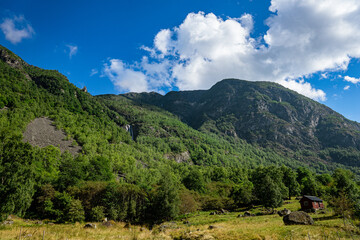 Mountains with trees and rocks on it