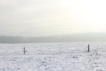 Embrace winter and its beauty, Nagirne village, UKRAINE