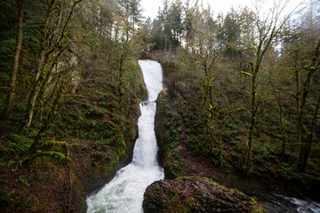 Waterfall along Oregon's Historic Coast Highway - 402880414