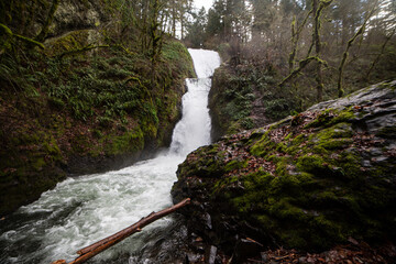 Waterfall along Oregon's Historic Coast Highway - 402880475