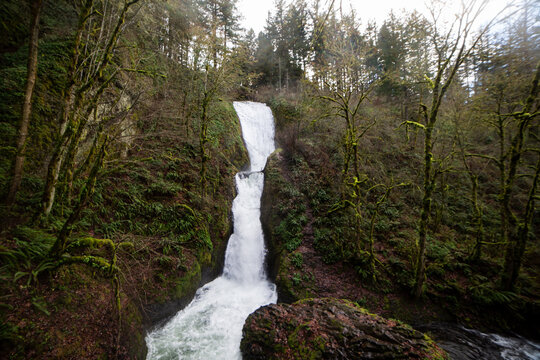 Waterfall along Oregon's Historic Coast Highway