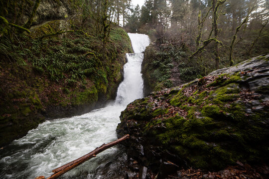 Waterfall along Oregon's Historic Coast Highway