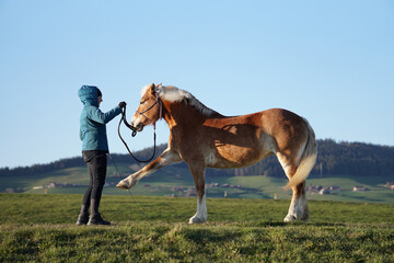 Woman trainer and dressage horse on mountain meadow