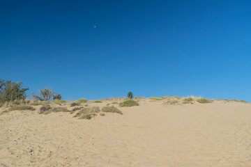 Sunny golden sand in a beautiful day