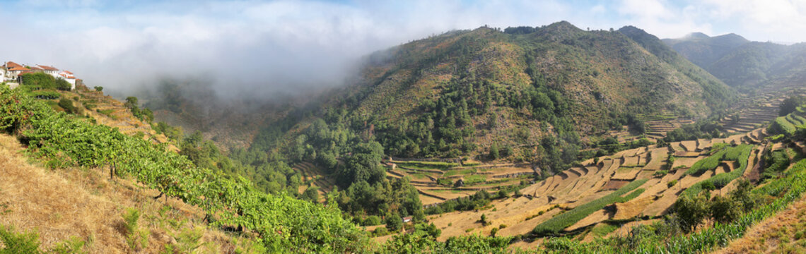 Viewpoint of the Terraces overlooking the Agricultural terraces Sistelo, Portugal.