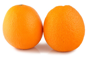 Oranges isolated on the white background