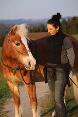 Foto op Canvas Woman caresses dressage horse on rural road © Talent for Adventure
