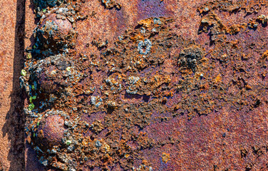 EXtreme close up of rusting whaling ship in Grytviken, South Georgia - obrazy, fototapety, plakaty