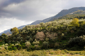 Fototapeta na wymiar Nebrodi mountain landscape in Sicily italy