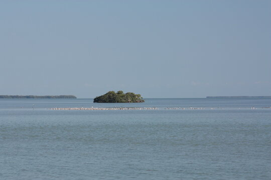 an Island