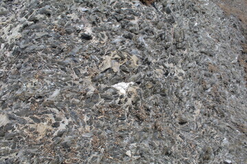 stone wall background