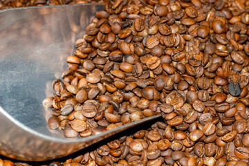 Roasted coffee beans with a metal scoop in them.