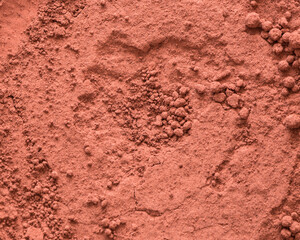 Color background and texture: pink pigment.