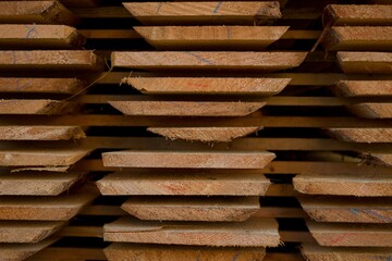 Wood texture. Texture of natural unplaned wood for design and decoration