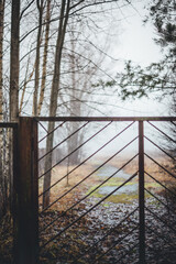 fog behind the gate