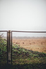 fog and hill behind the fence
