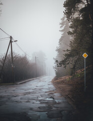 Puddled street in cloudy weather.NEF