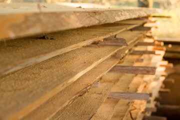 Wood texture. Texture of natural unplaned wood for design and decoration