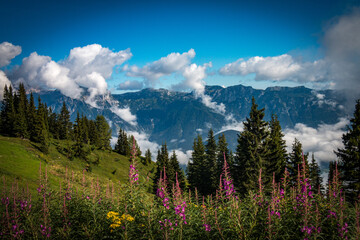 scenic view from planai, schladming, austria, alps, mountains