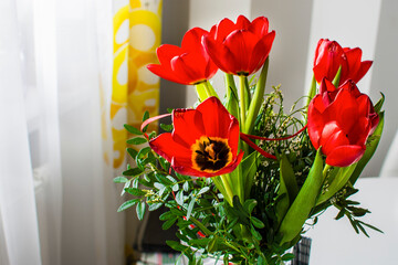 beautiful red tulips, flowers on the table by the window