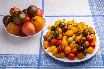 a plate and bowl of ripe multicolored tomatoes on a table
