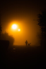 
fog on the street and a woman walks a big dog