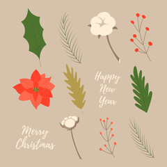 Set of winter plants, flowers and berries. Can be used for Christmas design. Vector illustration on isolated background.
