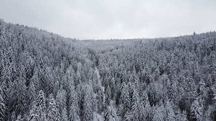 Kaltenbronn im Winterkleid