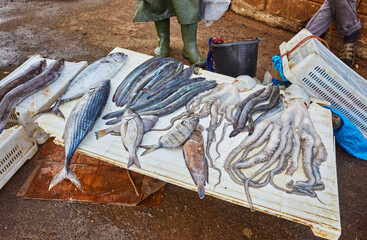 Real fish market and fresh fish