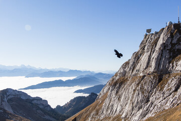 Above the fog on Mount Pilatus in Lucerne