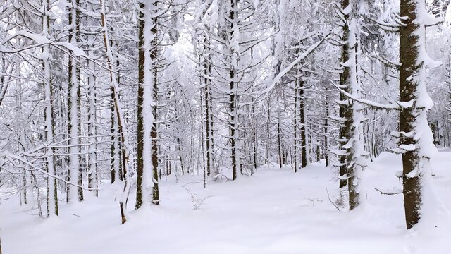 La Bresse