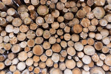 Möbelaufkleber aufgetürmte Baumstämme als Hintergrund © Stockhausen