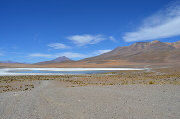 Bolivia Desert