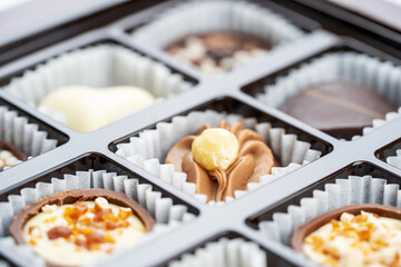 Different chocolate pralines. Box of belgian pralines of different shapes. Assortment of fine belgium white, dark and milk chocolates