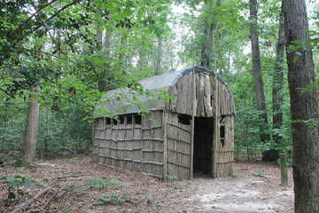 shack in the woods