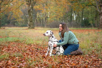 Young caucasian Woman with her dalmatian dog sitting outdoors between autumn leafs and trees both...