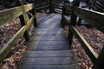 Angular wooden stairways converge on a hiking trail. 