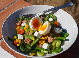 Tuna salad with boiled egg in white bowl with fork