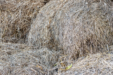 Old dry straw pile close up background