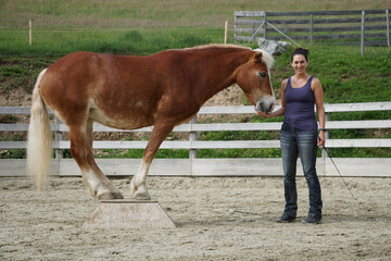 Woman trains dressage horse in corral