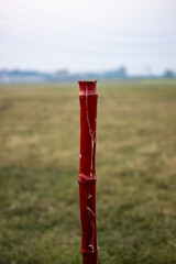 A red bamboo on the land to indicate the field area, A red bamboo slice close up