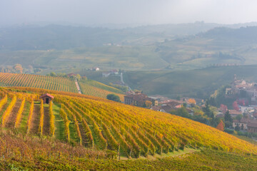 Amazing autumnal landscape in the Langhe, famous vineyard area in Piedmont Italy