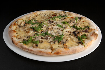 fragrant and hot pizza on a dark background