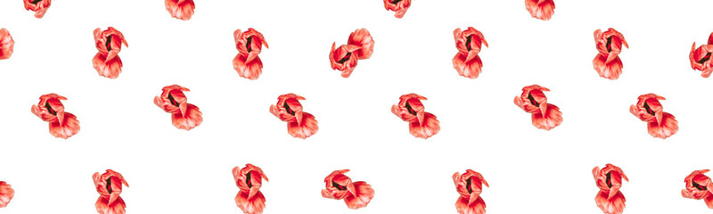 Red tulips pattern on white background. Holiday design idea