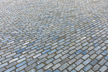 Diagonal Bricks Pavement