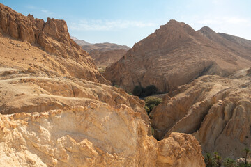 View of mountain oasis Chebika