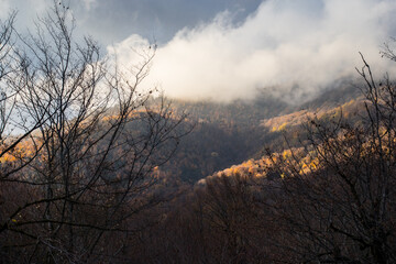 Amazing view with colorful autumn forest with asphalt mountain road at sunset.