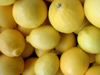Lemons Close-up