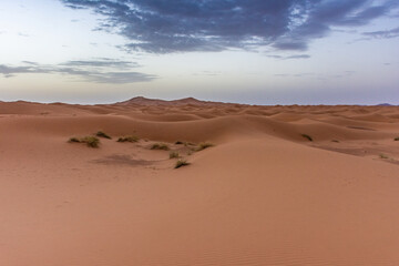 Fototapeta na wymiar Dawn in the dunes of the Erg Chebbi, Sahara Desert, Morocco