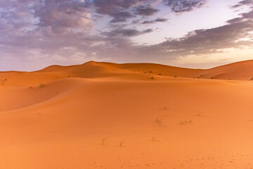 Fototapeta na wymiar Dawn in the dunes of the Erg Chebbi, Sahara Desert, Morocco